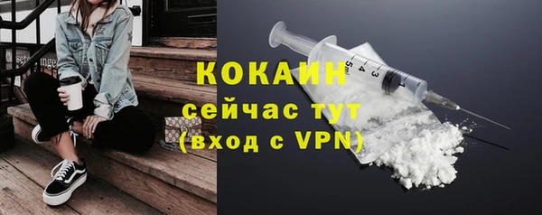 дживик Козельск
