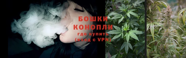 спайс Корсаков