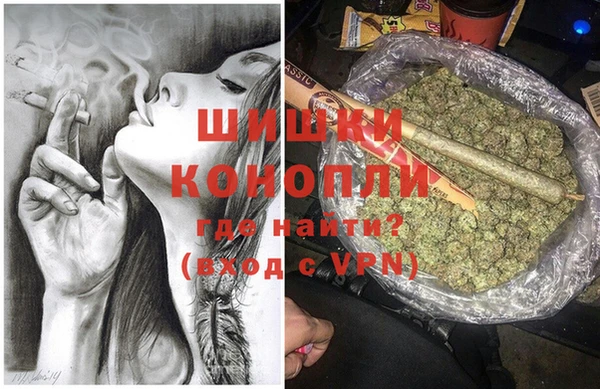 спайс Корсаков