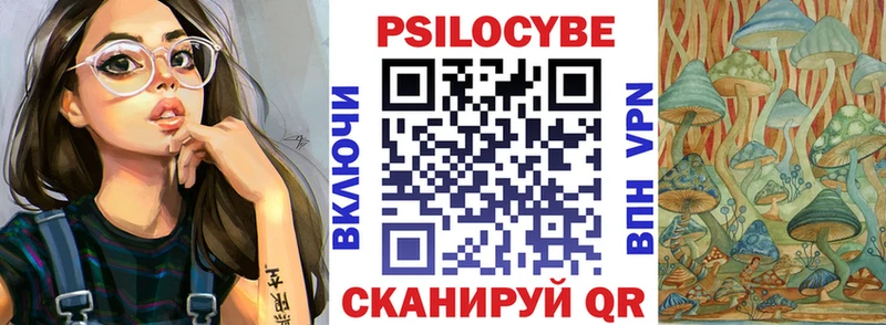 Купить  Артёмовский  Псилоцибиновые грибы Cubensis 